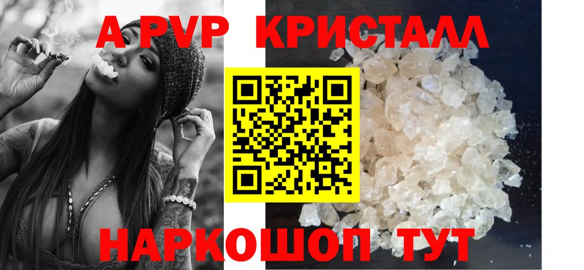 A PVP СК КРИС Котлас
