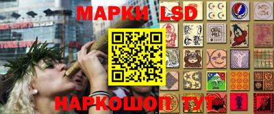 гидропоника Камышлов