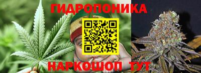 ECSTASY Кандалакша
