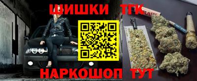 гидропоника Камышлов