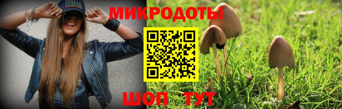 Псилоцибиновые грибы прущие грибы Котлас